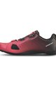 SCOTT Cycling shoes - ROAD COMP BOA - red/black