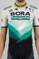 SPORTFUL Cycling short sleeve jersey - BORA HANSGROHE 2021 - grey/green