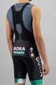 SPORTFUL Cycling bib shorts - BORA HANSGROHE 2021 - green/black