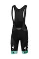 SPORTFUL Cycling bib shorts - BORA HANSGROHE 2019 - green/black