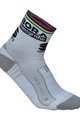 SPORTFUL Cyclingclassic socks - BORA HANSGROHE 2018 - white/grey