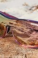 TIFOSI Cycling sunglasses - SIZZLE - purple