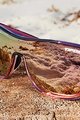 TIFOSI Cycling sunglasses - SIZZLE - purple