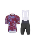HOLOKOLO Cycling short sleeve jersey and shorts - RUSTLE - anthracite/bordeaux