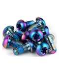 SRAM set of screws - SCREWS - rainbow
