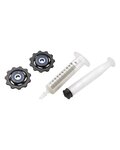 SRAM pulleys for the derailleur - BLACKBOX - black