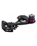 SRAM pulleys for the derailleur - CAGE ASSEMBLY KIT GX T-TYPE EAGLE AXS - black