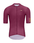 HOLOKOLO Cycling short sleeve jersey - VICTORIOUS GOLD - bordeaux