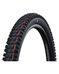 SCHWALBE tyre - ALBERT GRAVITY PRO 29x2.50 EVOLUTION 67EPI - black