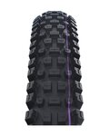 SCHWALBE tyre - ALBERT GRAVITY PRO 29x2.50 EVOLUTION 67EPI - black