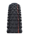 SCHWALBE tyre - ALBERT TRAIL PRO 27.5x2.50 EVOLUTION 67EPI - black