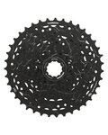 SHIMANO cassette - CASSETTE LG300 10 11-39 - black