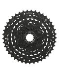 SHIMANO cassette - CASSETTE LG300 9 11-41 - black