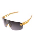 POC Cycling sunglasses - ELICIT - orange
