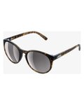 POC Cycling sunglasses - KNOW TORTOISE - brown