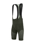 SANTINI Cycling bib shorts - FRECCIA - green