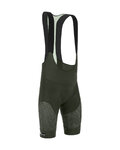 SANTINI Cycling bib shorts - FRECCIA - green