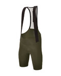 SANTINI Cycling bib shorts - PLUSH - green