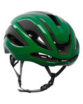 KASK Cycling helmet - ELEMENTO WG11 - green