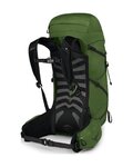 OSPREY backpack - TALON 33 L/XL - green