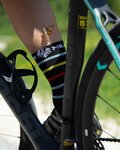BIANCHI MILANO Cyclingclassic socks - MAIORI - black/multicolour