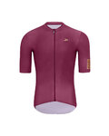 HOLOKOLO Cycling short sleeve jersey and shorts - set - bordeaux/black