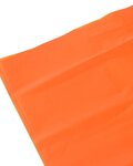 LIFESYSTEMS survival bag - SURVIVAL BAG - orange