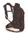OSPREY backpack - RAVEN 10 LADY - purple