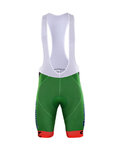 BONAVELO Cycling bib shorts - BARDIANI 2017 - green
