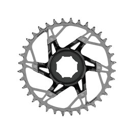 SRAM chainring - XX T-TYPE 36T - silver/black