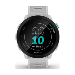 GARMIN FORERUNNER 55 - grey