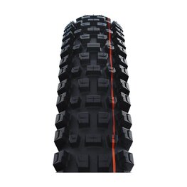 SCHWALBE tyre - ALBERT GRAVITY PRO 29x2.50 EVOLUTION 67EPI - black