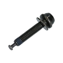 SHIMANO caliper bolt - SCREW 43mm - black