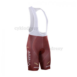 BONAVELO Cycling bib shorts - AG2R 2016 - brown