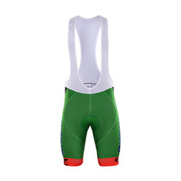 BONAVELO Cycling bib shorts - BARDIANI 2017 - green